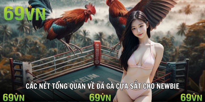da ga cua sat tong quan Các nét tổng quan về đá gà cựa sắt cho newbie