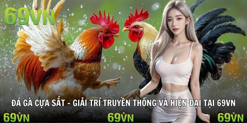 da ga cua sat đá gà cựa sắt